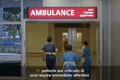 What happens in the Emergency Department?