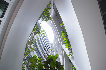 Hospital Design