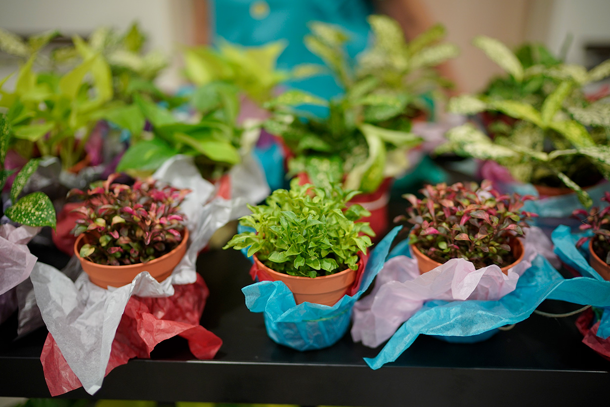 2017_GoodNeighbourDay (19).jpg