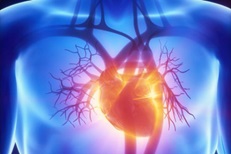 Cardiac Diagnostic Laboratory Services