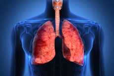 Pulmonary Function Laboratory Services