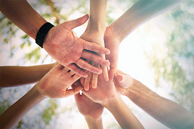 Contributions to Community Engagement