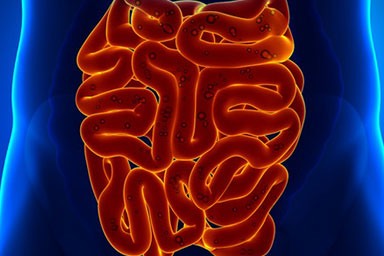 Gastroenterology & Hepatology