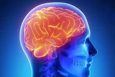 Neurology