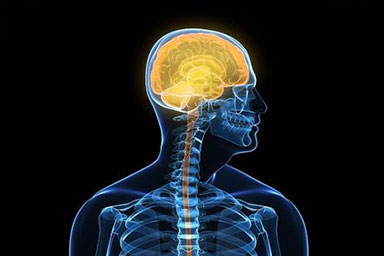 Neurosurgery