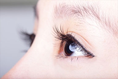 Ophthalmology