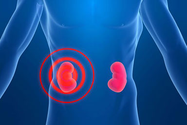 Renal Medicine