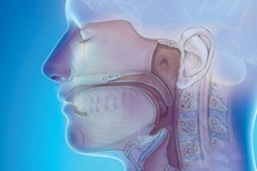 Otolaryngology