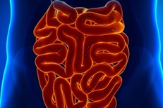 Gastroenterology