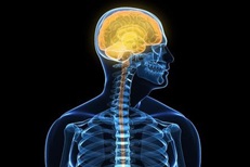 Neurosurgery