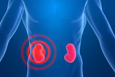 Renal Medicine