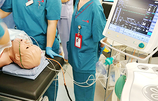 Simulation Programmes