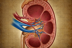 Renal Multi-disciplinary Care
