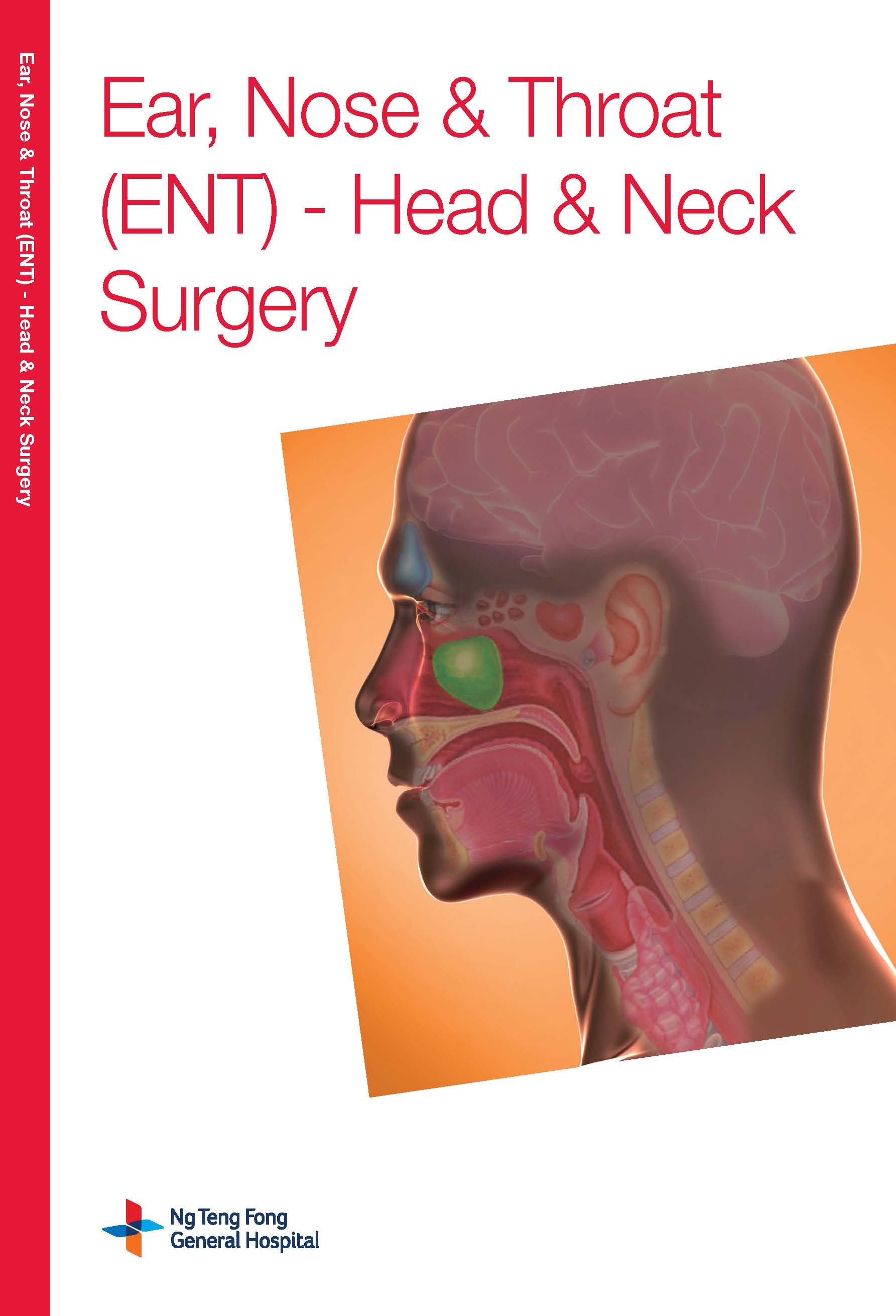 Ear Nose and Throat Head and Neck Surgery