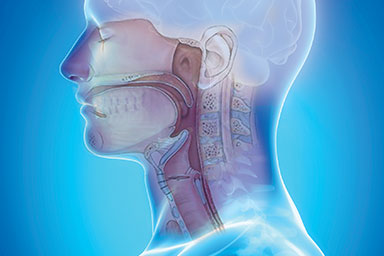 Ear, Nose & Throat (ENT) – Head & Neck Surgery 
